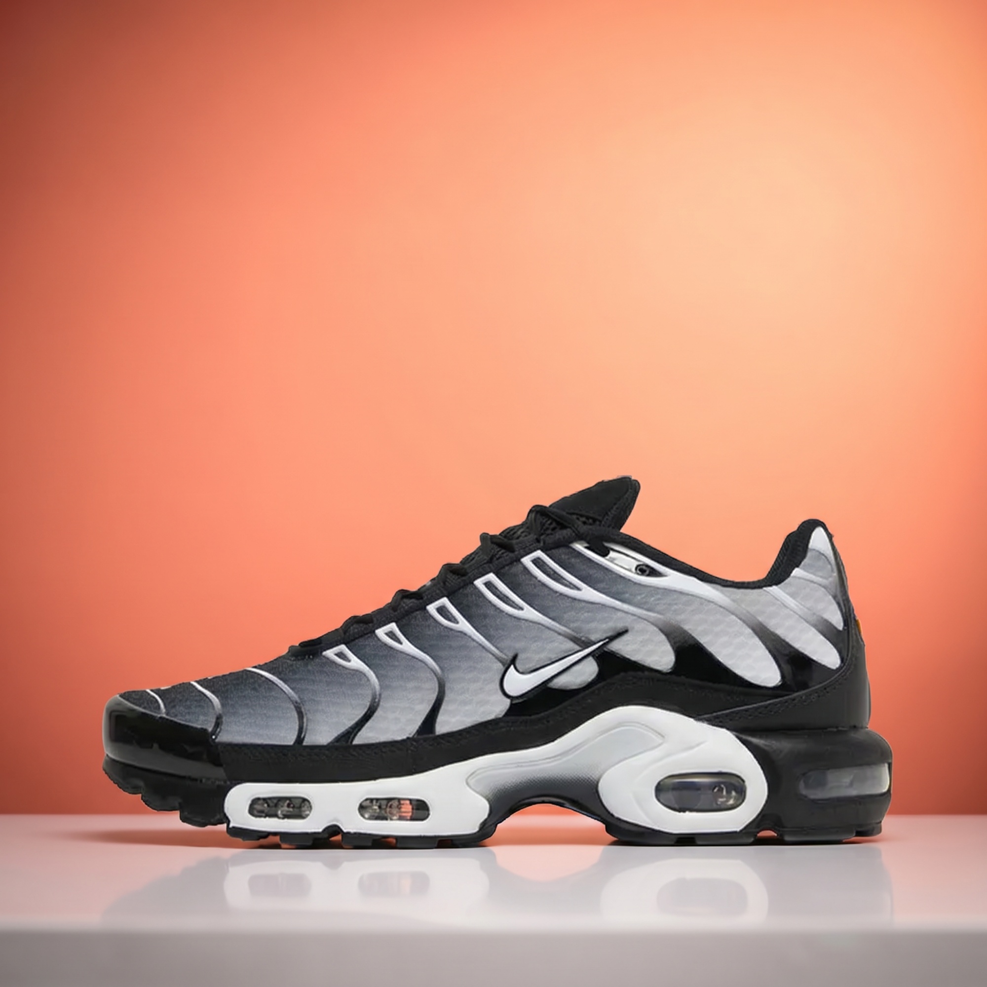 Nike Air Max Plus — Black / Silver / White